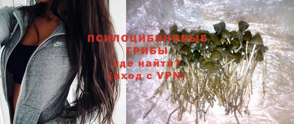 бутират Медногорск
