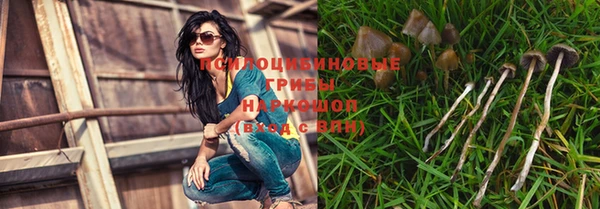 бутират Медногорск