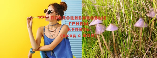 спайс Медвежьегорск