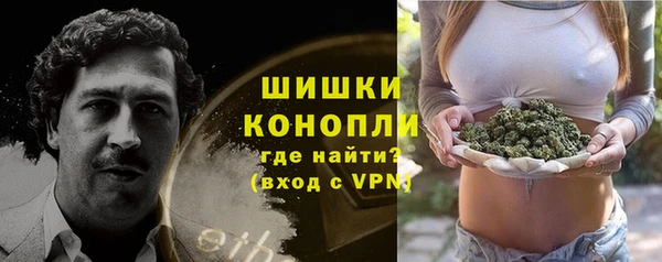 спайс Медвежьегорск