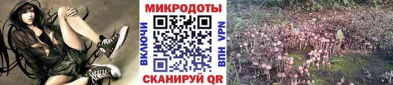 Купить  Жуков  Галлюциногенные грибы Cubensis 